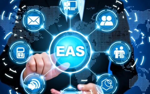 EAS数据库怎么查工资？需要哪些权限和SQL语句？