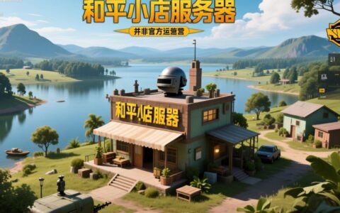 和平小店服务器是干嘛的，真能买到便宜皮肤吗？