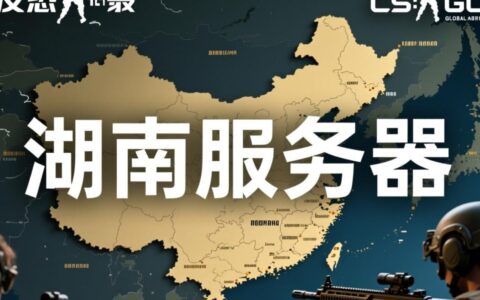 CSGO湖南服务器延迟高吗，本地玩家体验如何？