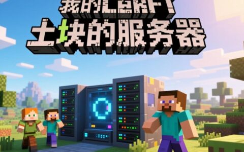 土块的服务器是什么，为什么大家都说它好玩？