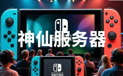 switch神仙服务器到底是什么，使用它有风险吗？