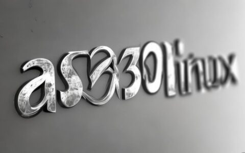 asf30linux的核心功能是什么？Linux环境下如何优化其性能？