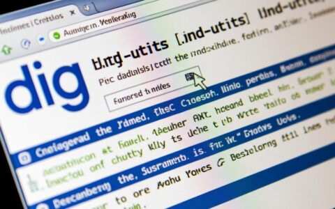 CentOS系统下如何安装DNS诊断工具dig?