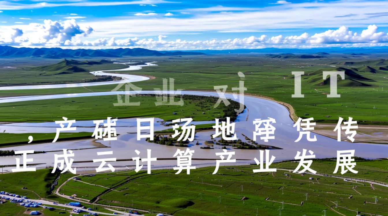 青海地区选择云服务器和虚拟主机时，如何根据业务需求平衡性能与成本？