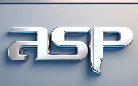 ASP数字类型有哪些？Integer、Long等如何定义与转换使用？