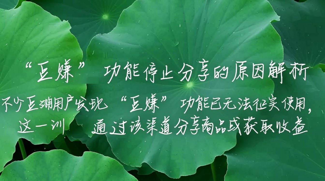 豆赚无法分享了豆赚分享功能突然失效，是系统故障还是另有隐情？