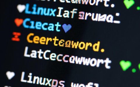 CentOS下如何通过目录权限命令实现精准的文件访问控制?