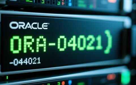 Oracle存储报错04021如何解决？