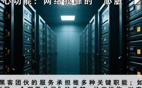 揭秘大型黑客团伙服务器，究竟是如何被警方精准定位并摧毁的？