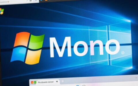 mono.exe持续报错，这到底是什么原因又该如何是好？