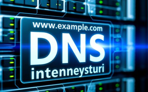 DNS服务器究竟有哪些缺点会影响网速与隐私安全？