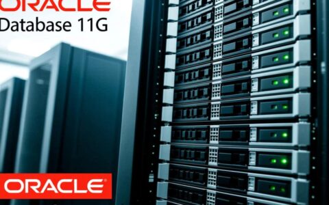oracle11g数据库实例安装全过程详细步骤是怎样的？