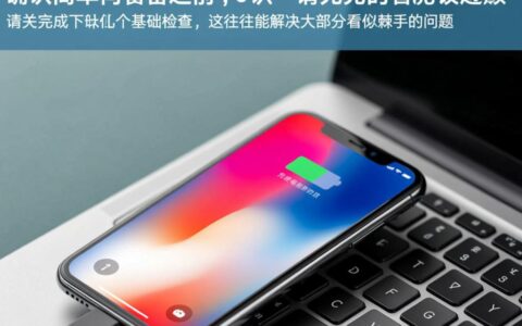 iPad1黑屏彻底无法开机，充电和强制重启都无效了怎么办？