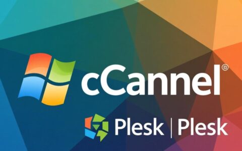 虚拟主机面板软件名称怎么改才不会导致网站出错？