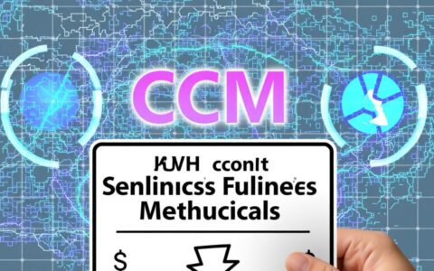 CCM浮点异常报错是什么原因，该如何快速解决？