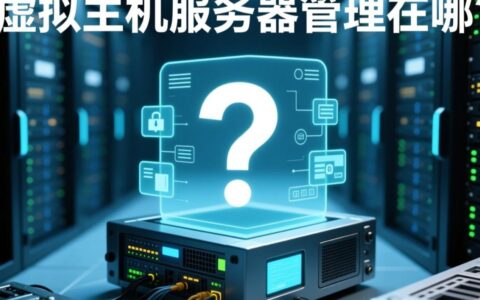 虚拟主机服务器管理后台登录入口在哪？