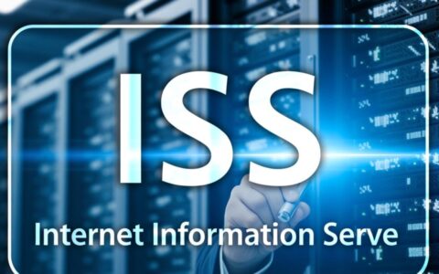 IIS访问SVC服务报404错误是什么原因？