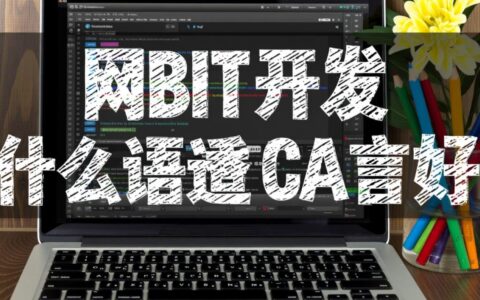 新手学网站开发，选什么语言好找工作且薪资高？