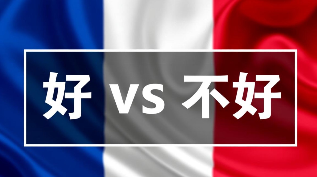 法国虚拟主机对中国访问速度怎么样,到底值不值得购买? 法国虚拟主机对中国访问速度怎么样,到底值不值得购买?
