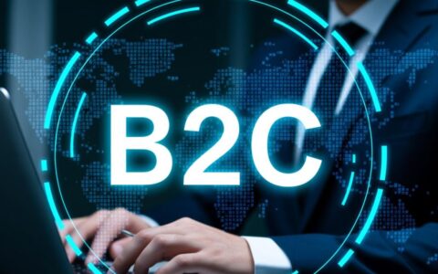 购买B2C网站时，如何评估价值并规避风险？