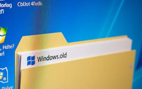 C盘Windows.old文件夹顽固无法删除，有什么彻底办法？