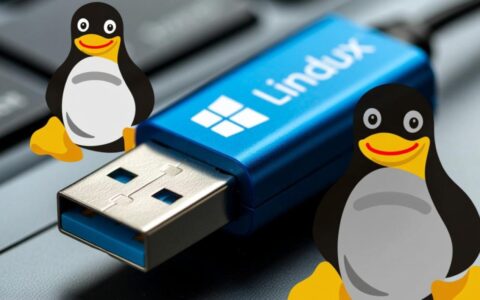 Linux系统USB无法识别，到底有哪些排查方法和解决步骤？