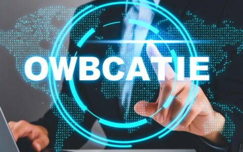 没有技术背景，怎么自己建立一个专业的公司网站？