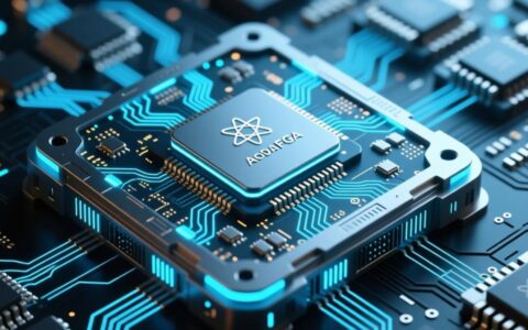 原子fpga服务器是什么，它究竟有什么用？