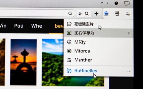 网页图片无法右键保存，到底要如何操作才能下载？