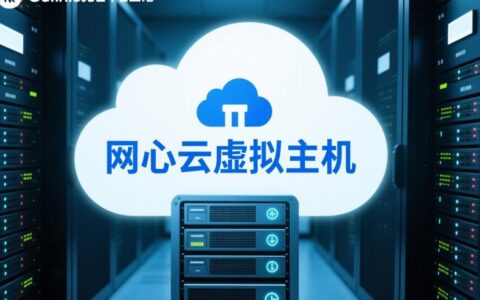 网心云虚拟主机是什么，有什么优势值得入手？