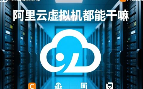 阿里云虚拟主机能建网站、存数据、跑程序吗？适合新手吗？