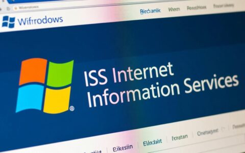 iis网站报错500.19是什么原因导致的？
