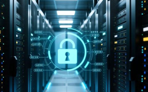 会员专用服务器能提供哪些专属特权与保障？