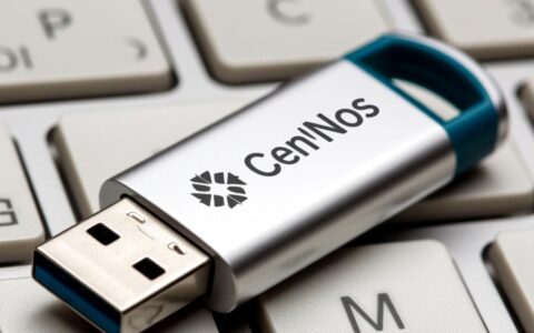 u盘安装Centos时启动项怎么设置？步骤详细点？