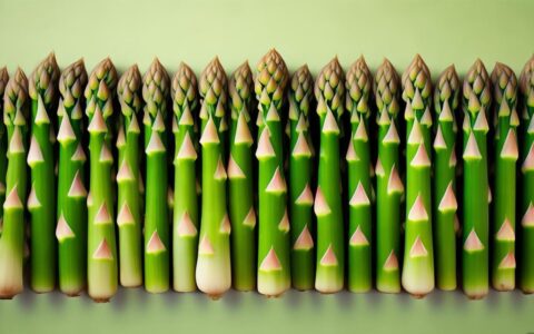 ASP数组如何在JavaScript中使用与转换？