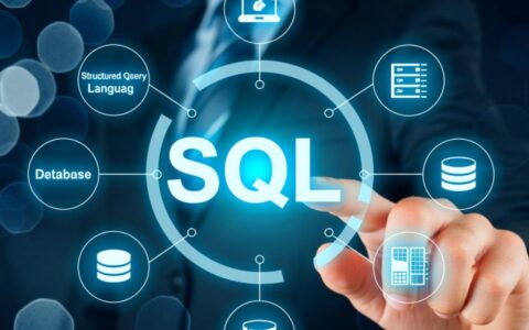 sql建数据库的详细步骤是什么？新手必看指南。