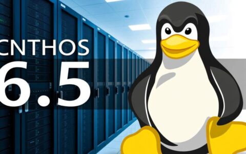 CentOS 6.5官方下载地址在哪里？如何下载原版镜像？