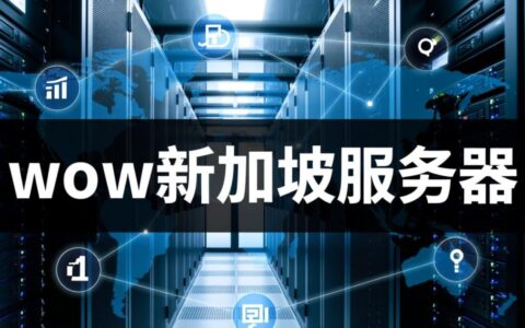 wow新加坡服务器怎么连？延迟高怎么办？