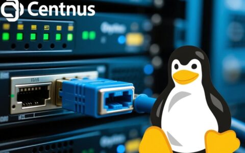 centos网口测试，如何高效检测网口连通性与性能？