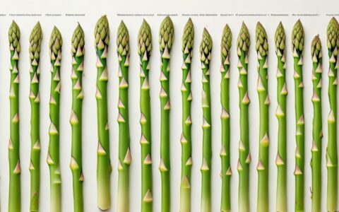 asp数组如何使用？常见问题与解决方法有哪些？