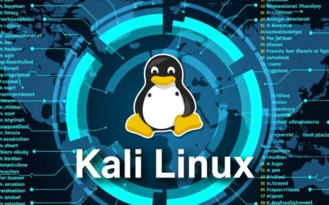 kali渗透服务器如何入门？零基础学渗透测试服务器难不难？