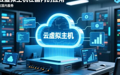 国内云虚拟主机应用有哪些常见问题及选择技巧？