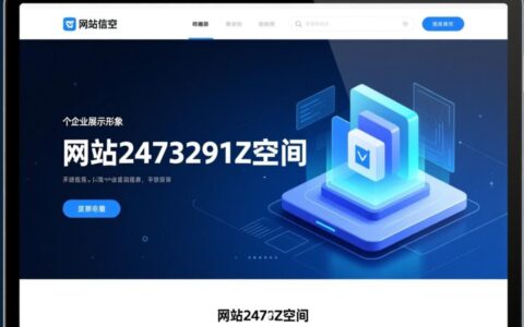 网站2473291Z空间是什么？