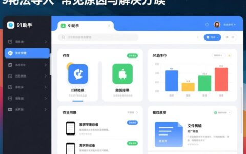 91助手无法导入怎么办？解决方法是什么？