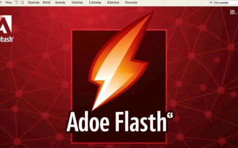 Chrome Flash无法加载怎么办？插件启用或更新后仍不显示？