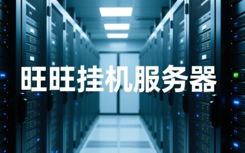 旺旺挂机服务器稳定吗？能24小时不卡顿吗？