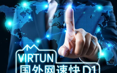 国外网速快的虚拟主机，选哪家能兼顾速度与性价比？