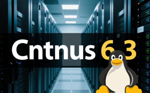 CentOS 6.3如何设置或切换中文语言环境？