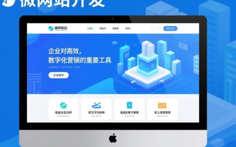 武汉微网站开发哪家专业，能定制符合需求的吗？