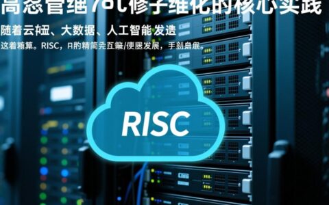 如何高效管理RISC服务器？运维难点与最佳实践指南